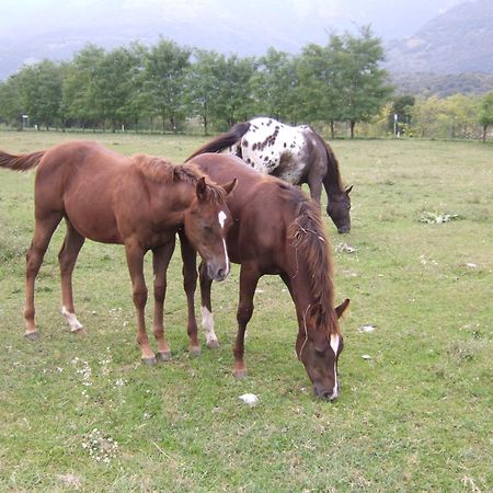 Agriturismo Al Ranch Castello dʼAviano Eksteriør bilde