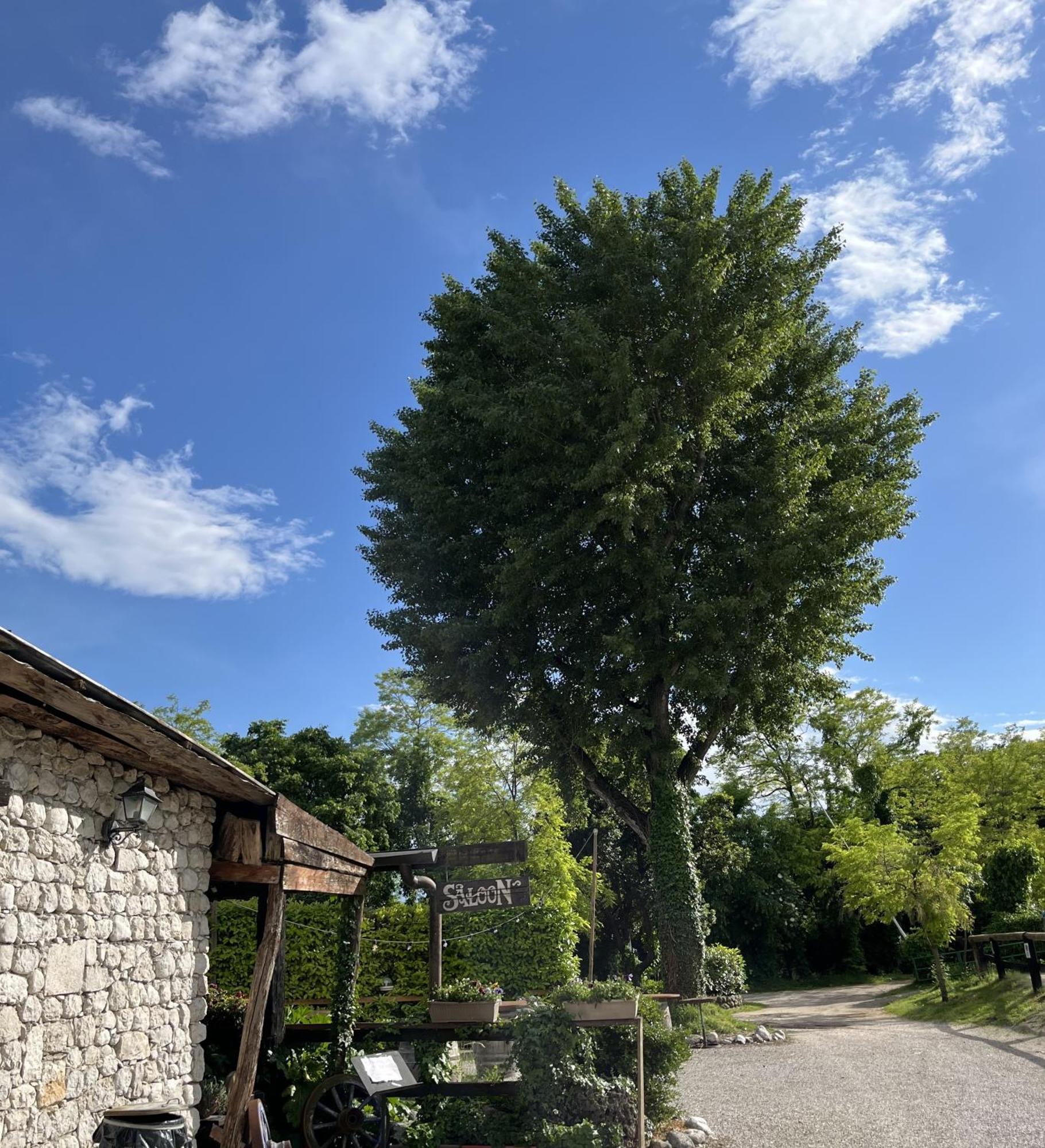 Agriturismo Al Ranch Castello dʼAviano Eksteriør bilde