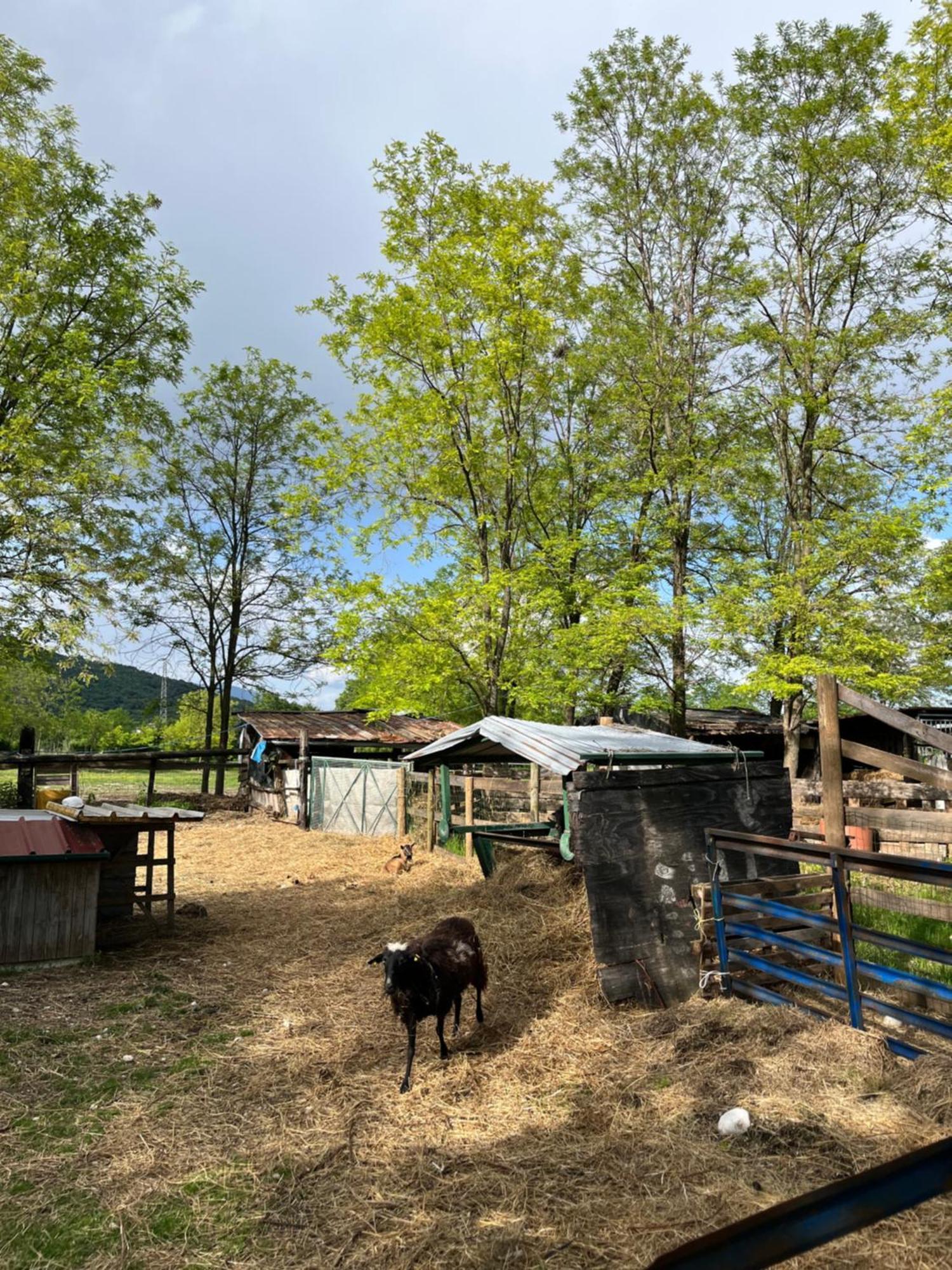 Agriturismo Al Ranch Castello dʼAviano Eksteriør bilde