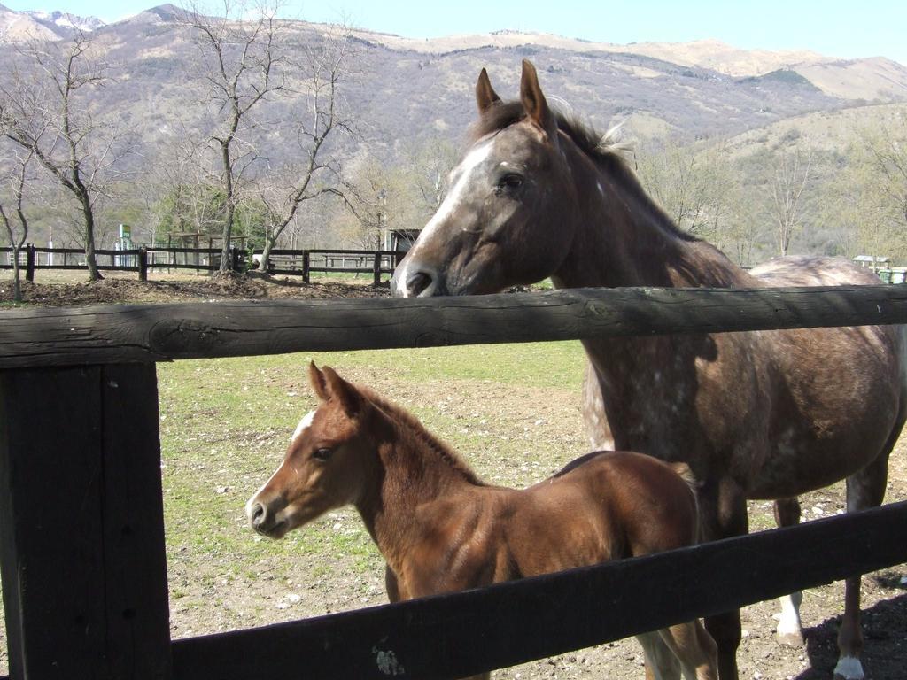 Agriturismo Al Ranch Castello dʼAviano Eksteriør bilde