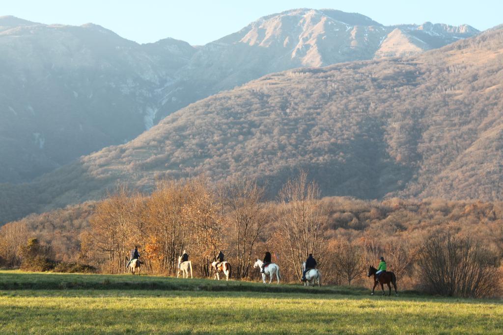 Agriturismo Al Ranch Castello dʼAviano Eksteriør bilde